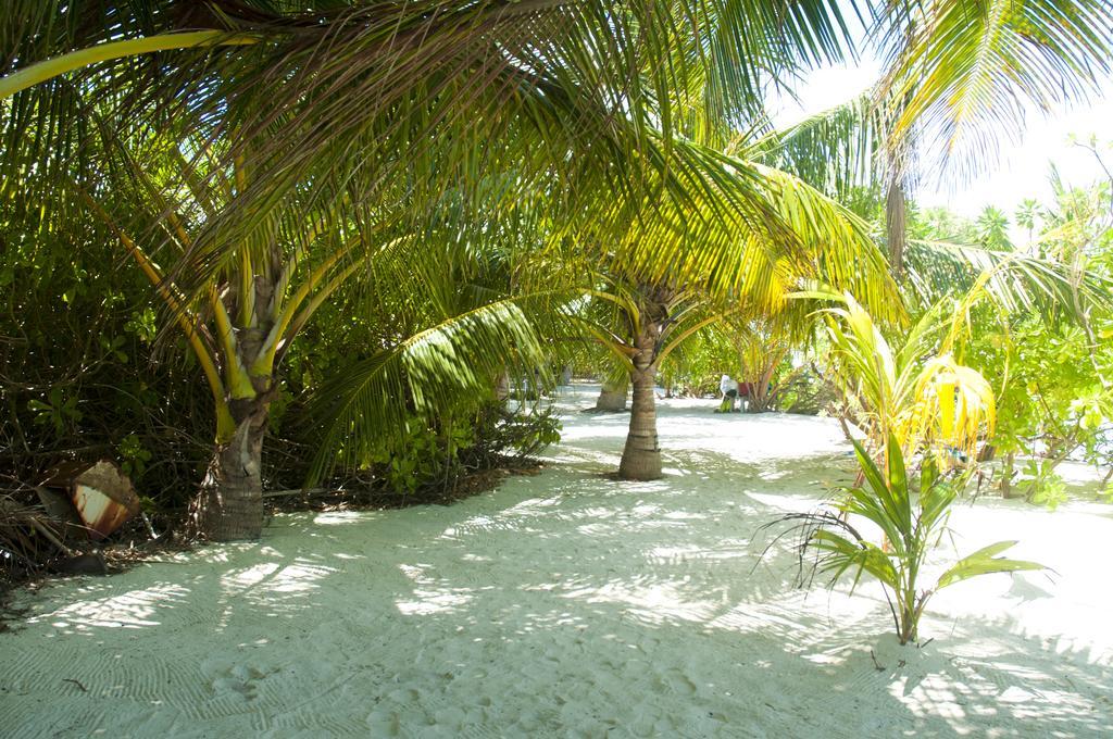 Hotel Palm Garden Thoddoo Exteriér fotografie
